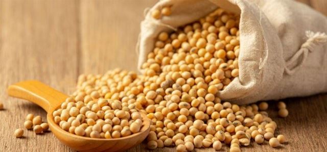 CÁC LỰA CHỌN THAY THẾ ĐẬU NÀNH
