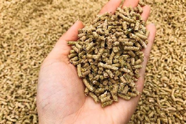 XU HƯỚNG DINH DƯỠNG ĐỘNG VẬT
