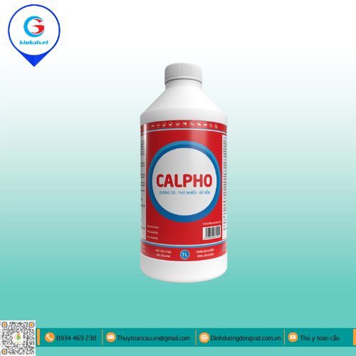 CALPHO - CHẮC XƯƠNG, PHÔI KHỎE, ĐẺ BỀN