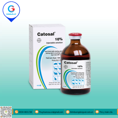 CATOSAL 10%  TĂNG SỨC ĐỀ KHÁNG CHO VẬT NUÔI