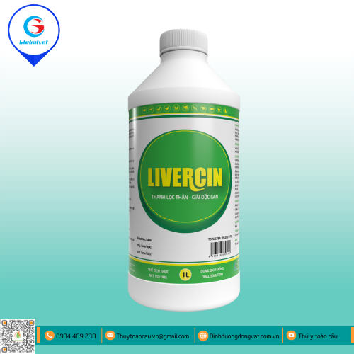 LIVERCIN - MÁT GAN, BỔ THẬN, GIẢI ĐỘC