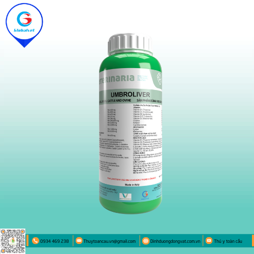 UMBROLIVER - GIẢI ĐỘC GAN THẬN SIÊU TỐC